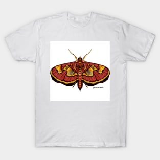 Distinguished Colomychus moth T-Shirt